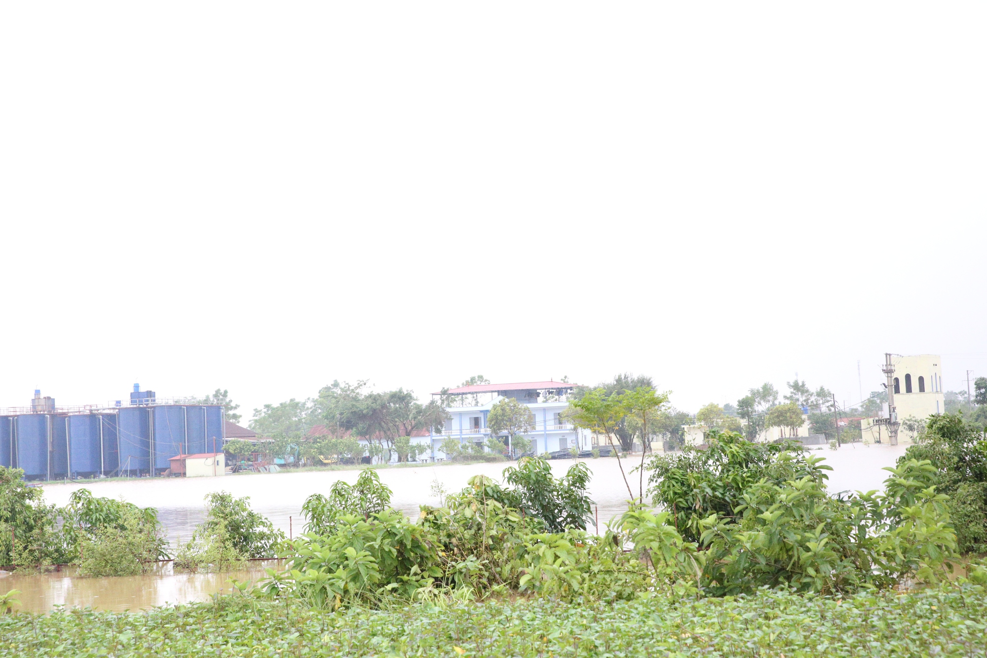 Phó Thủ tướng Thường trực Nguyễn Hòa Bình thị sát, kiểm tra công tác phòng, chống lũ tại Hà Nam- Ảnh 7. Phó Thủ tướng Thường trực Nguyễn Hòa Bình thị sát, kiểm tra công tác phòng, chống lũ tại Hà Nam- Ảnh 7.
