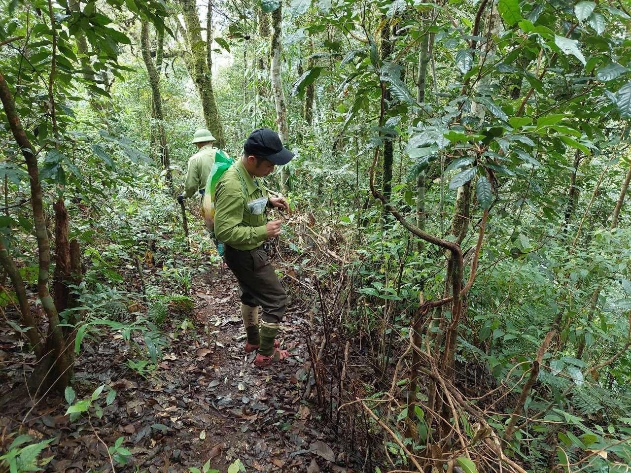 can-bo-anti-poaching-go-bay-tren-duong-tuan-tra-copy.jpeg