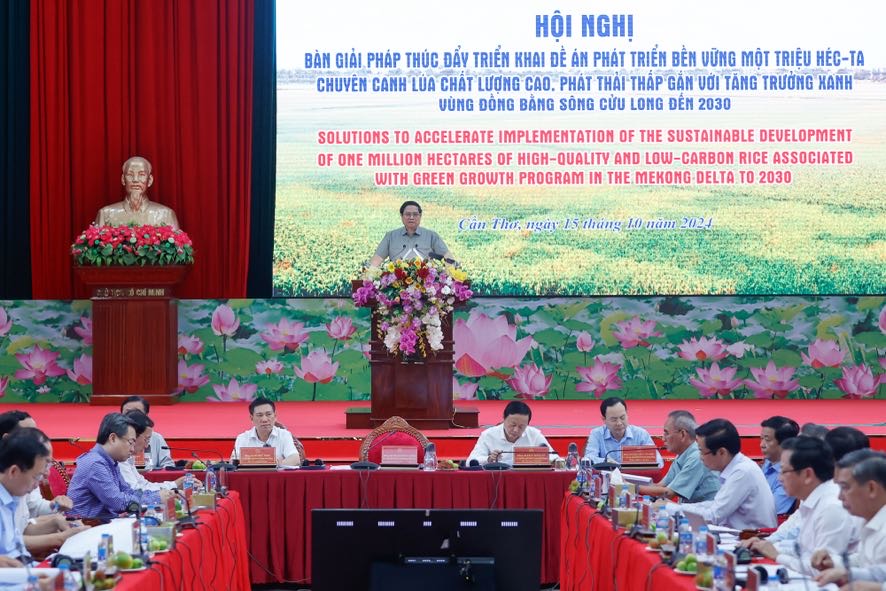 Thủ tướng chủ trì Hội nghị về Đề án một triệu héc-ta lúa chất lượng cao, phát thải thấp tại ĐBSCL- Ảnh 3. Thủ tướng chủ trì Hội nghị về Đề án một triệu héc-ta lúa chất lượng cao, phát thải thấp tại ĐBSCL- Ảnh 3.