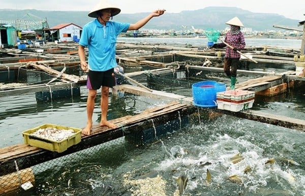 Quảng Ninh đẩy mạnh các giải pháp phục hồi kinh tế- Ảnh 1. Quảng Ninh đẩy mạnh các giải pháp phục hồi kinh tế- Ảnh 1.