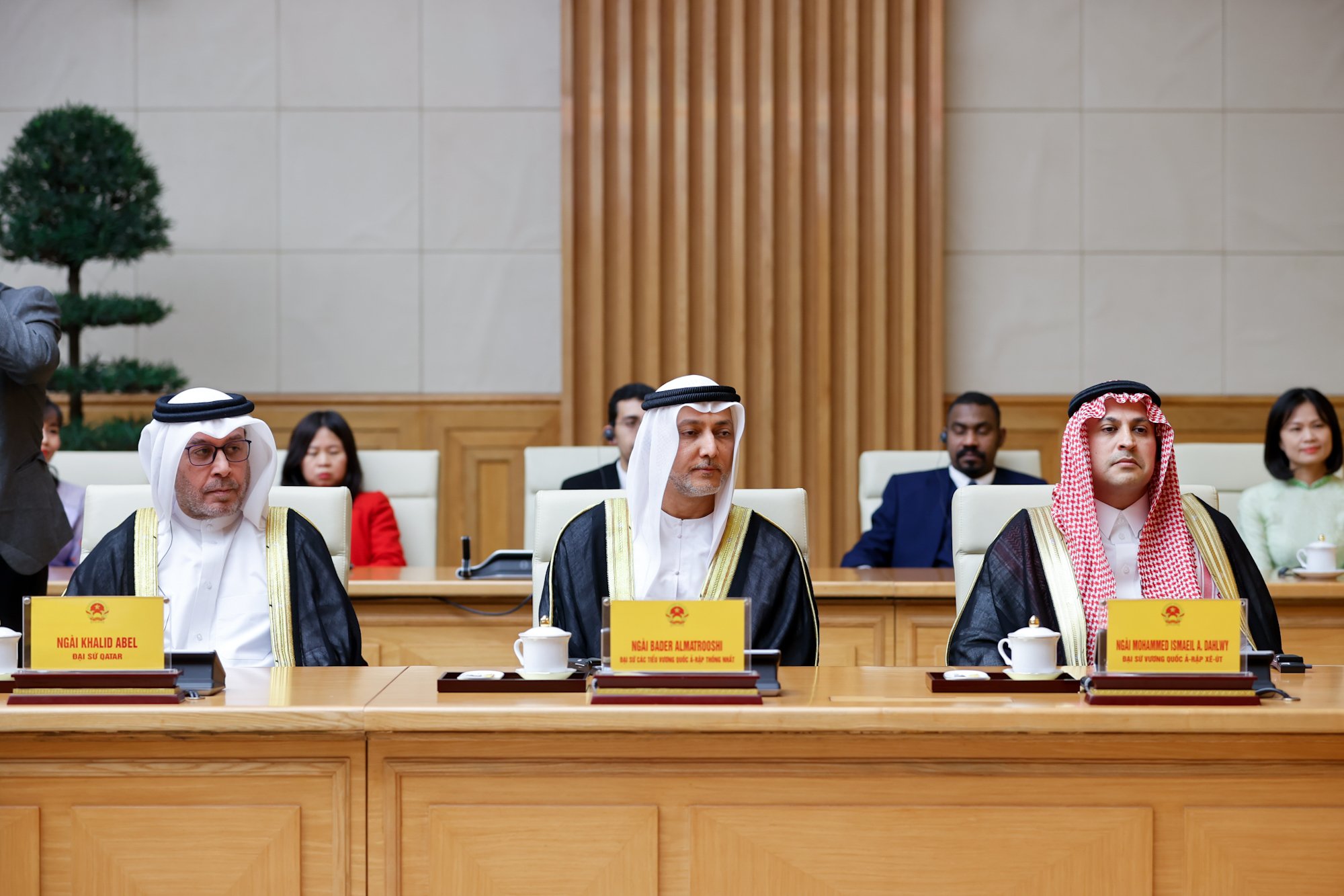 Saudi Arabia, UAE, Qatar hết sức coi trọng hợp tác với Việt Nam- Ảnh 5. Saudi Arabia, UAE, Qatar hết sức coi trọng hợp tác với Việt Nam- Ảnh 5.