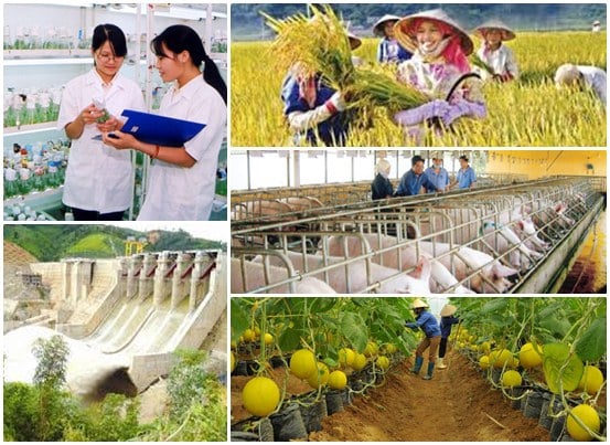 Sử dụng trí tuệ nhân tạo để giải đáp thắc mắc về Tổng điều tra nông thôn, nông nghiệp năm 2025- Ảnh 1. Sử dụng trí tuệ nhân tạo để giải đáp thắc mắc về Tổng điều tra nông thôn, nông nghiệp năm 2025- Ảnh 1.