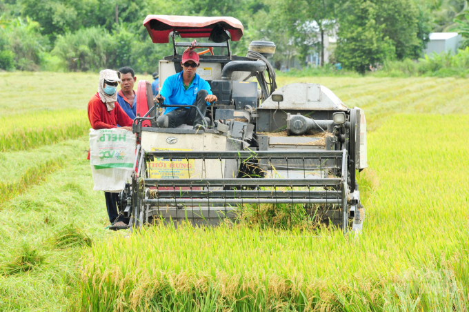 Lộc Trời đứng ra liên kết trực tiếp các tổ chức sản xuất và bao tiêu sản phẩm cho nông dân, cam kết năng suất, đảm bảo lợi nhuận cho nông dân và HTX. Ảnh: Lê Hoàng Vũ.