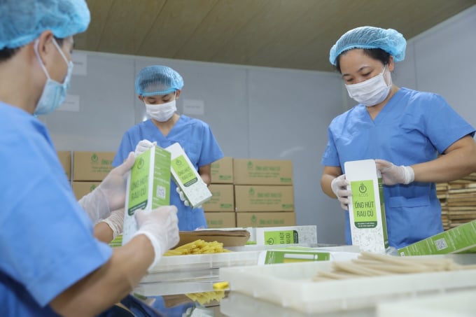 Những chiếc ống hút thân thiện với môi trường đang là xu hướng được ưa chuộng. Ảnh: MP.
