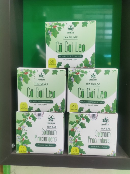 Sản phẩm cà gai leo Yên Thủy hiện đã được các doanh nghiệp dược ký hợp đồng chế biến sâu với nhiều sản phẩm, có mặt rộng khắp trên thị trường. Ảnh: Phương Thúy.