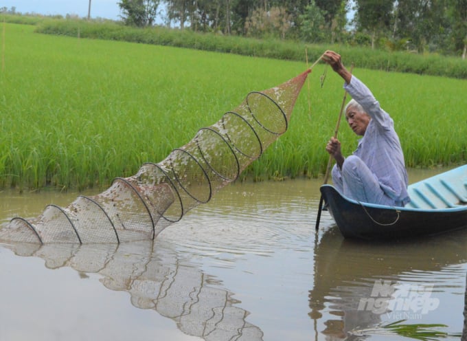 Sản xuất theo mô hình lúa - tôm không chỉ thích ứng với biến đổi khí hậu mà còn thích hợp cho sản xuất theo quy chuẩn, tiêu chuẩn, nhất là sản xuất hữu cơ, nâng cao giá trị sản phẩm. Ảnh: Văn Vũ. Sản xuất theo mô hình lúa - tôm không chỉ thích ứng với biến đổi khí hậu mà còn thích hợp cho sản xuất theo quy chuẩn, tiêu chuẩn, nhất là sản xuất hữu cơ, nâng cao giá trị sản phẩm. Ảnh: Văn Vũ.