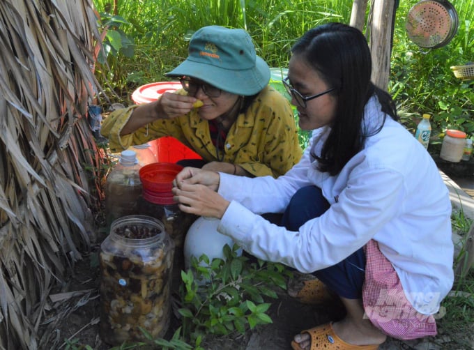 Dùng vi sinh vật bản địa - IMO gốc để ủ, sẽ tạo ra mùi thơm của các loại rau, củ, quả đã lên men, chứ không phải mùi hôi thối thường gặp bốc lên từ các đống rác. Ảnh: Trung Chánh.