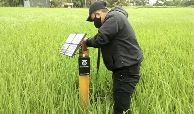 The water level measurement device using IoT technology, developed by Tra Vinh University, for applying alternating flooded-dry irrigation techniques can save up to 28% of water and reduce greenhouse gas emissions. Photo: Minh Dam.