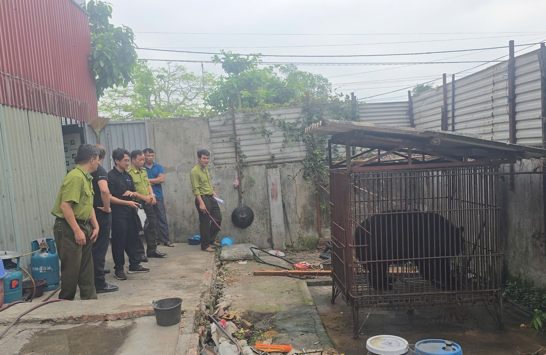 Cá thể gấu được người dân nuôi đã gần 20 năm. Ảnh: Đinh Mười.