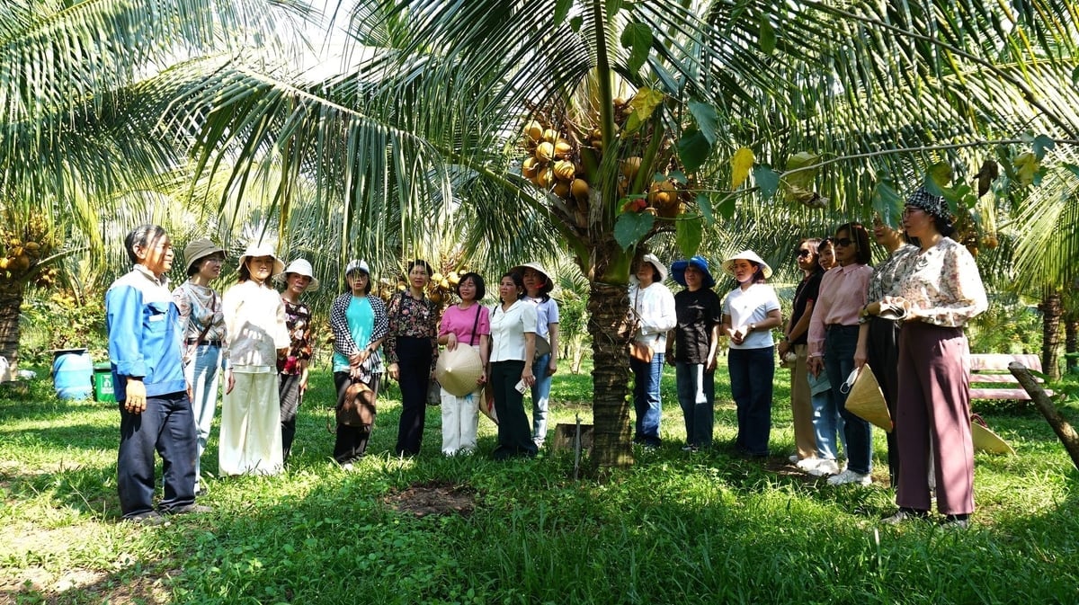 Anh Vũ (bìa trái) chia sẻ bí quyết sản xuất dừa hữu cơ cho du khách. Ảnh: Trần Trung.