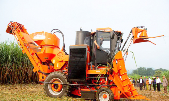 Mechanization in sugarcane production is focused on investment by sugar cane enterprises in Nghe An, helping to reduce harvesting costs and increase profits for farmers. Photo: ST.