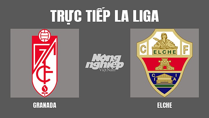 truc-tiep-bong-da-granada-vs-elche-12-3-184557_982.jpg Trực tiếp bóng đá La Liga mùa giải 2021/2022 giữa Granada vs Elche hôm nay 12/3