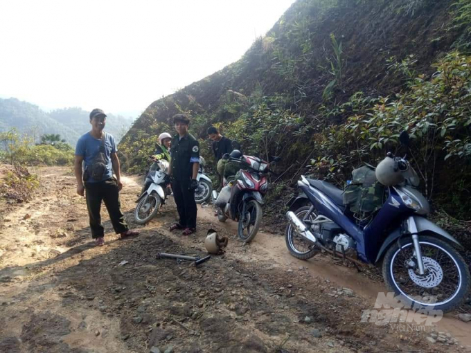 Lực lượng kiểm lâm và nhân viên bảo vệ rừng Khu Bảo tồn Sao tỉnh Thừa Thiên Huế đã phát hiện nhiều đinh nhọn trên tuyến đường tuần tra. Ảnh: CĐ.