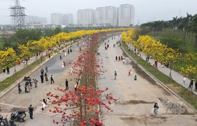 12-130227_824.jpg Hiện tại khu vực này đang mở cho người dân đến tham quan, chụp ảnh miễn phí không quy định thời gian.