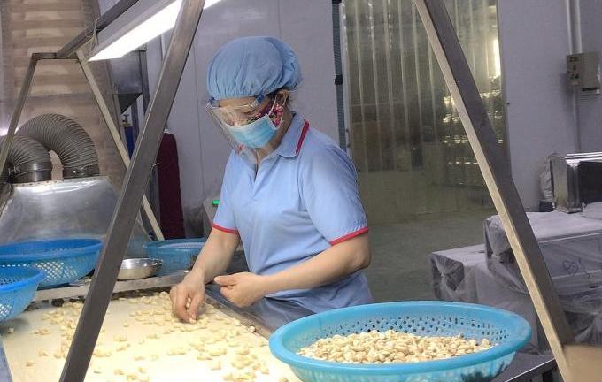 Sản phẩm xuất khẩu chính của công ty T.A là hạt điều.