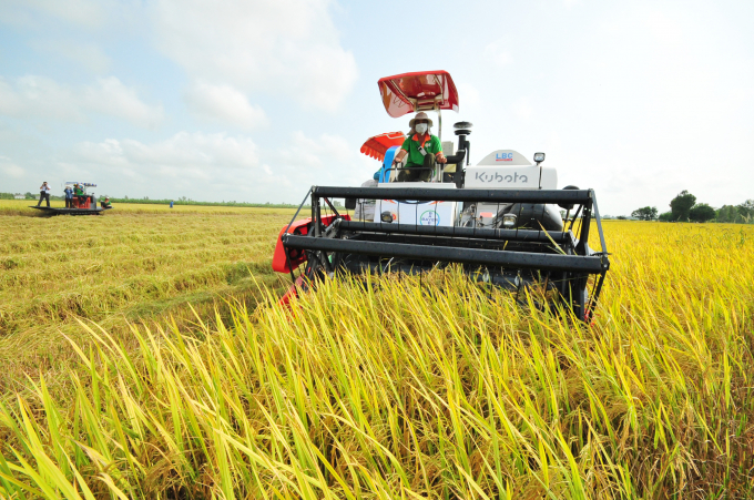 anh-3-102457_753.jpg Nhiều HTX nông nghiệp ở ĐBSCL được VnSAT hỗ trợ giúp phát triển mạnh mẽ trong sản xuất và tiêu thụ lúa gạo. Ảnh: Lê Hoàng Vũ.