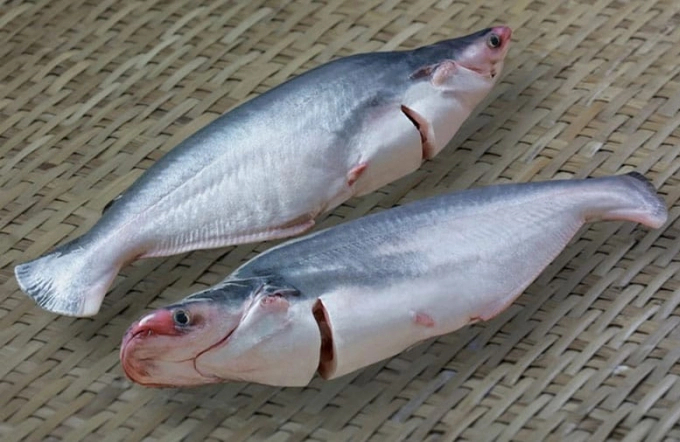 There are currently 4 companies not subjected to anti-dumping tax when exporting frozen pangasius fillets to the US. Photo: TL.