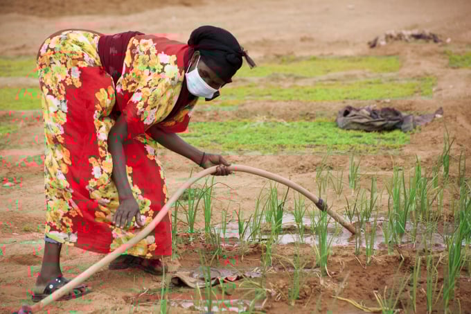 Water scarcity often affects the most vulnerable, such as family farmers who see their harvests severely damaged by drought. Photo: Isak Amin/WFP