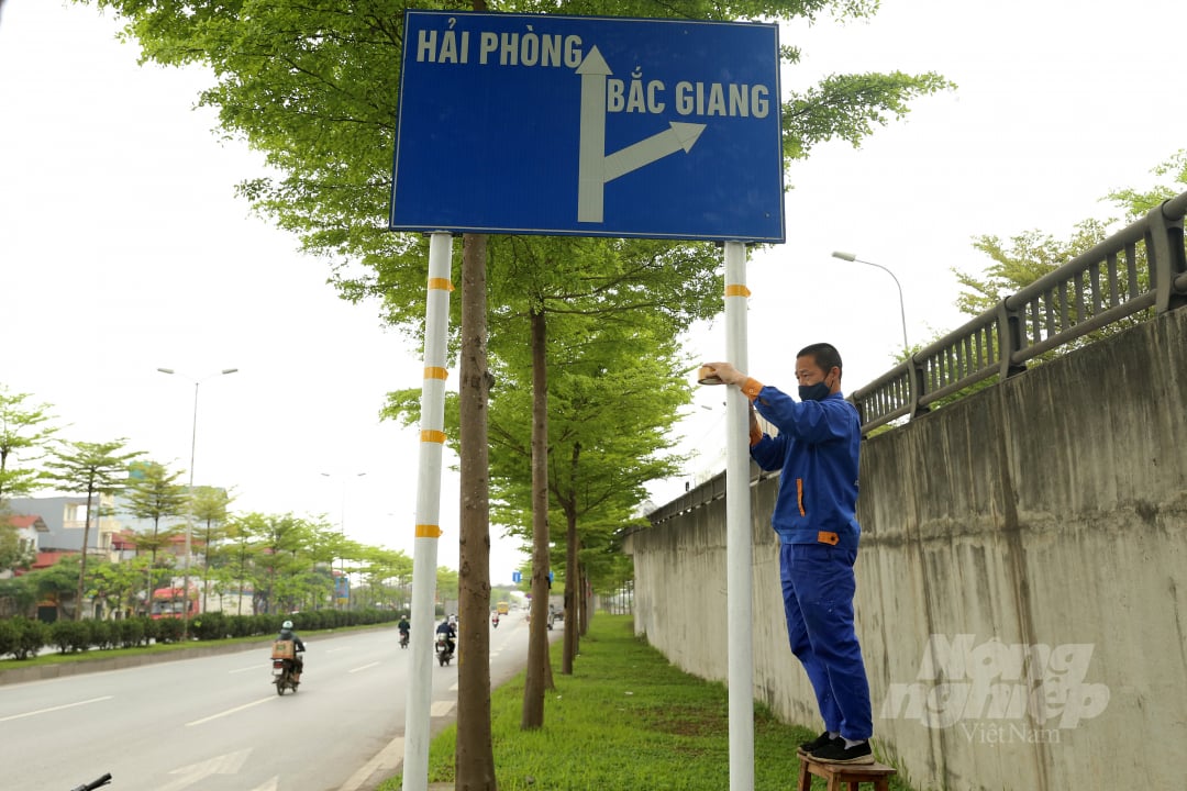 1-135941_100.jpg Cây bàng lá nhỏ được trồng khá nhiều trên tuyến đường Nguyễn Văn Linh, đặc biệt tại khu vực nút giao Quốc lộ 5 với lối lên cao tốc Hà Nội - Bắc Giang, rất nhiều hàng cây thẳng tắp đồng loạt 'thay áo' xanh mướt bắt mắt.