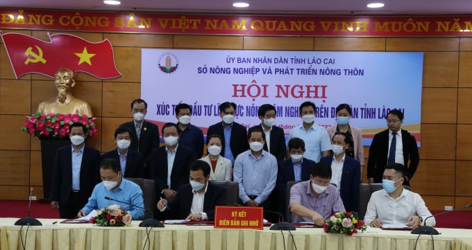 img_6650-163550_589.jpg Đại diện các địa phương và 8 doanh nghiệp đã ký kết biên bản ghi nhớ hợp tác đầu tư sản xuất, chế biến, tiêu thụ các ngành hàng chủ lực của tỉnh Lào Cai tại hội nghị. Ảnh: T.P.