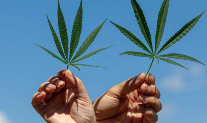 The House has passed legislation multiple times in the past year to allow legally operating marijuana businesses to access banking services and credit cards, so that they don’t have to be cash-only. Photo: Getty