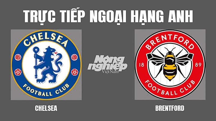 Trực tiếp bóng đá Ngoại hạng Anh giữa Chelsea vs Brentford hôm nay 2/4/2022