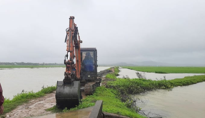Phương tiện cơ giới được huy động trực tại điểm đê xung yếu để hộ đê. Ảnh: Đ.Thuần.