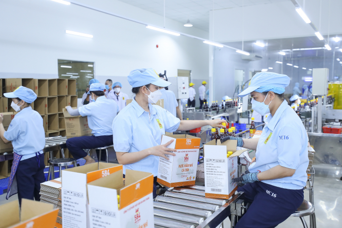 Partners highly appreciate our potential and conditions of the raw material area, factories, technical team and the 584 Nha Trang brand.
