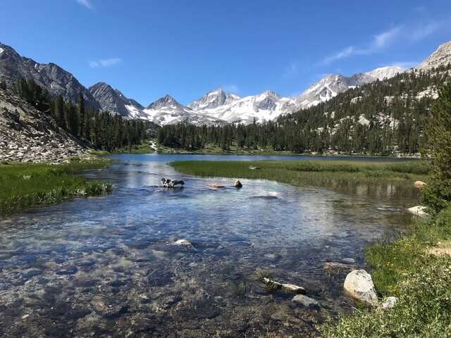 Sierra Nevada mountain stream sampled by the researchers. Photo credit: Matthew Green/UCR