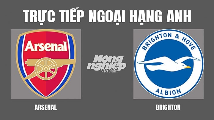 truc-tiep-bong-da-arsenal-vs-brighton-9-4-154559_439.jpg Trực tiếp bóng đá Ngoại hạng Anh giữa Arsenal vs Brighton hôm nay 9/4/2022