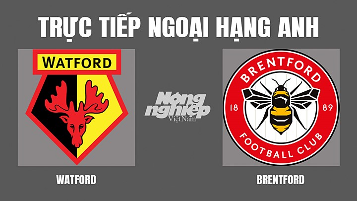 Trực tiếp bóng đá Ngoại hạng Anh giữa Watford vs Brentford hôm nay 16/4/2022