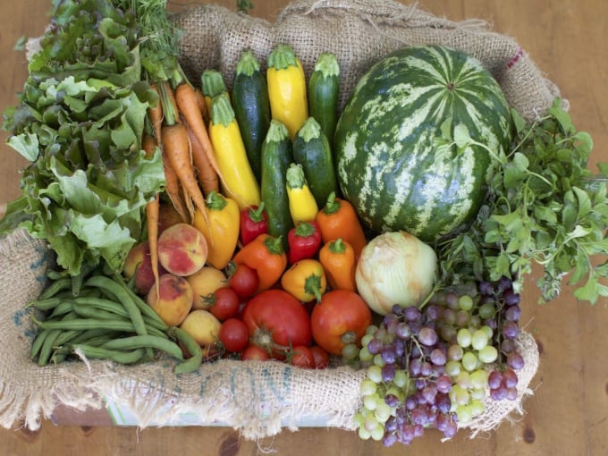 Teacher grows 100 varieties of fruits & vegetables in just 800 Sq feet space. Photo: Krishijagran