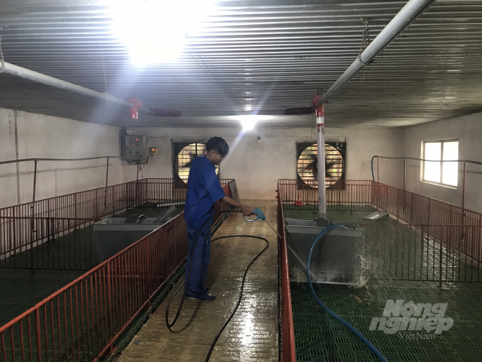 The farm is treated thoroughly for diseases before putting pigs into production. Photo: Tran Trung.