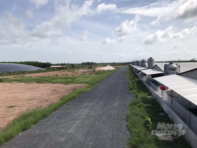 A view of the pig farm following the model of a cold, enclosed circulating farm by Mr. Huynh Quoc Cuong in Long Chu commune, Ben Cau district, Tay Ninh province. Photo: Tran Trung.