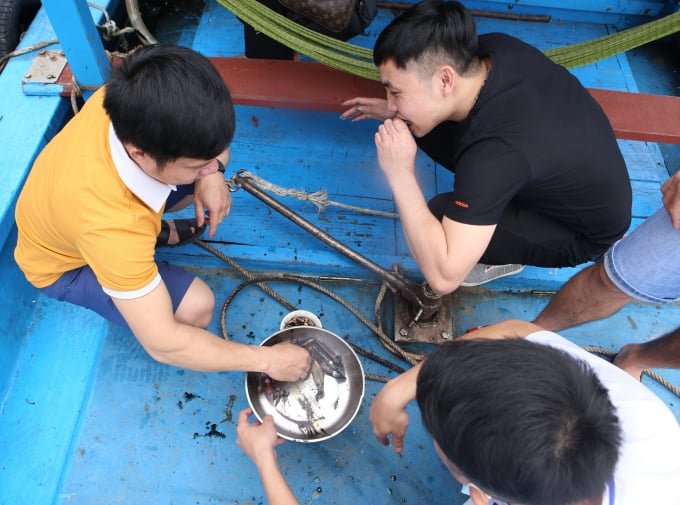 7-102456_153.jpg Một số du khách còn thưởng thức mực sống ngay trên thuyền khi vừa vớt từ bè nuôi mực lên.