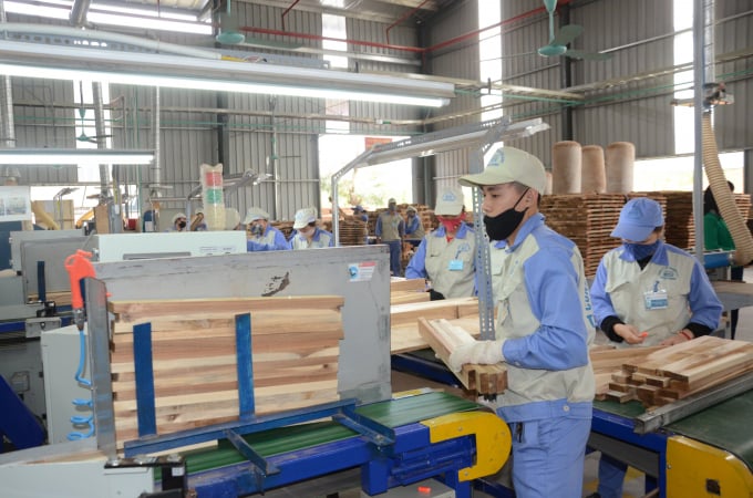 Wood and wooden products are occupying the No. 1 export position of agricultural and forestry products of Tuyen Quang province. Photo: Dao Thanh.