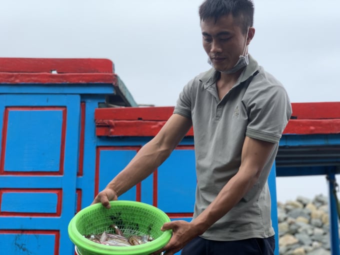 Hiện mực nhảy Vũng Áng đang được các nhà hàng bán từ 650.000 - 700.000đ/kg, tuỳ vào thời điểm. Dù giá hơi 'chát' nhưng món ăn đặc sản này lại thu hút khách trong và ngoài tỉnh đến thưởng thức.