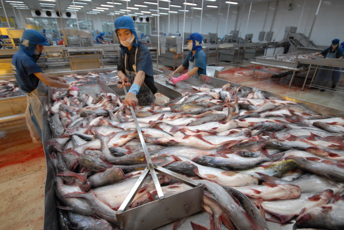z3355471151561_c80d17ec2842849e93c8e0148d6314ef-153823_46.jpg Cá tra, tôm cũng là một trong những sản phẩm thế mạnh của ĐBSCL, đóng góp hàng tỷ USD cho kim ngạch xuất khẩu.