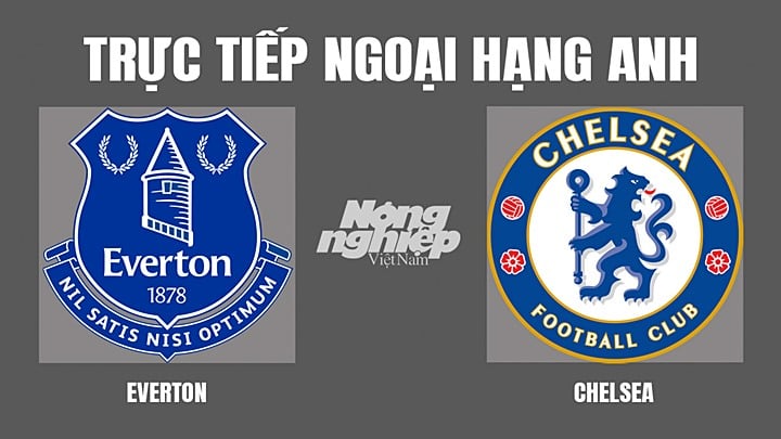 Trực tiếp bóng đá Ngoại hạng Anh giữa Everton vs Chelsea hôm nay 1/5/2022