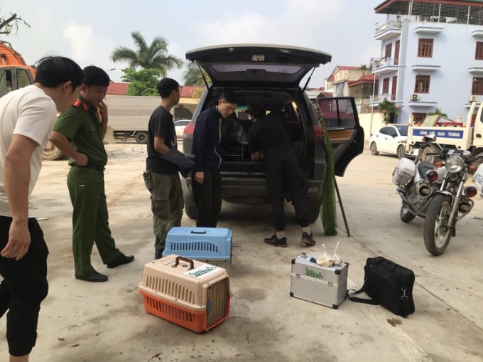 Nhập chú thích ảnh