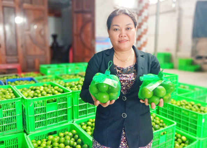 Ms. Nguyen Thi Thiet, director of Thanh Phuoc Seedless Lemon Cooperative, says that seedless lemons have a stable export market. Photo: Kim Anh.