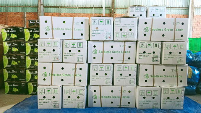 Packages of seedless lemons for export to the Middle East market. Photo: Kim Anh.
