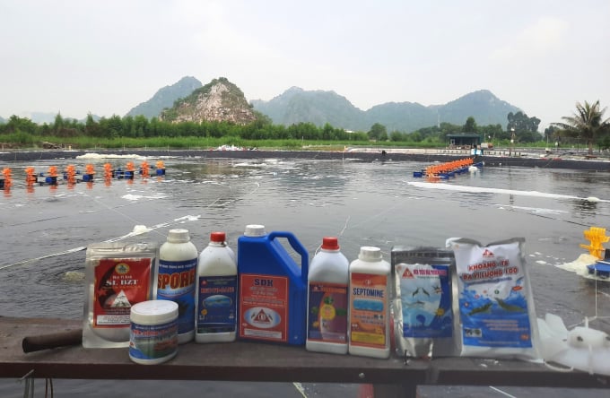 z3401083263838_b065e154e02907cbf61ff5744f900d7d-135140_39.jpg Thuốc thảo dược Trường Sinh được người nuôi tôm tin tưởng sử dụng.