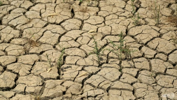 After decades of war and insurgency, Iraq faces another huge challenge: Severe water scarcity driven by climate change. Photo: AFP