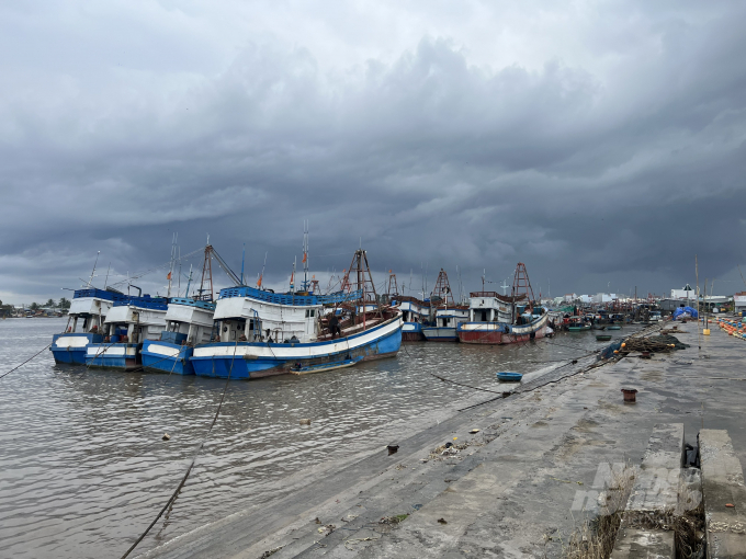 z3408926923485_5fd87ac8bf5c301637f88b3a50c9fea1-155908_761.jpg Phát triển kinh tế biển được xem là thế mạnh trong phát triển kinh tế của huyện Đông Hải. Ảnh: Trọng Linh.