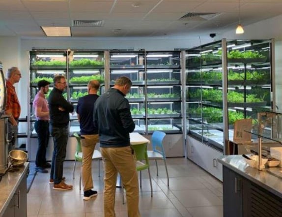 A microfarm installation creates farm-to-salad-bar food.   Photo: BABYLON MICROFARMS