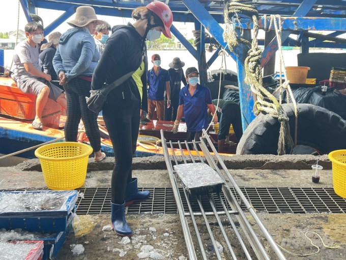 Thanks to the propaganda work, the majority of Ca Mau fishermen have complied with regulations against IUU illegal fishing. Photo: Trong Linh.