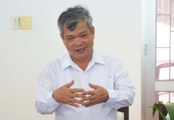 Dr. Ho Huy Cuong evaluated the advantages and outlooks of the large fruit tree material areas associated with export in the South Central provinces and in Binh Dinh. Photo: VDT.