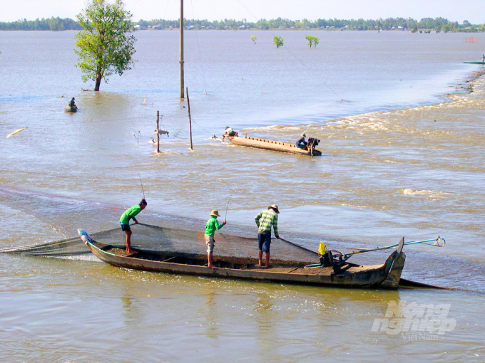 dscn0364-084902_736.jpg Vụ lúa thu đông 2022 Đồng Tháp có hơn 88.160 ha xả lũ lấy phù sa. Ảnh: Lê Hoàng Vũ.