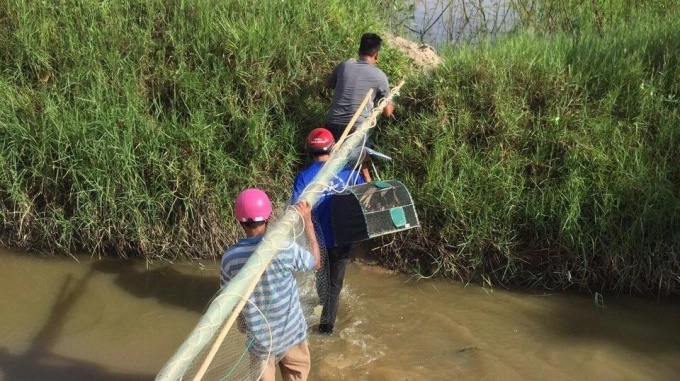 bay-chim-103744_435.jpg Thủ tướng Chính phủ đã có chỉ thị yêu cầu các Bộ ngành triển khai các giải pháp cấp bách để bảo tồn các loài chim hoang dã, di cư tại Việt Nam. Ảnh: KS.